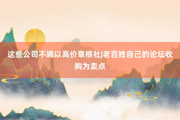 这些公司不竭以高价草根社|老百姓自己的论坛收购为卖点
