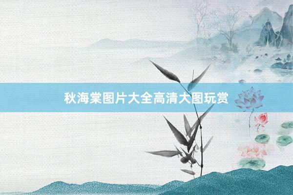 秋海棠图片大全高清大图玩赏